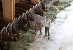 Gîte  - Savoir-faire - Franck et Marie P à la Stabu